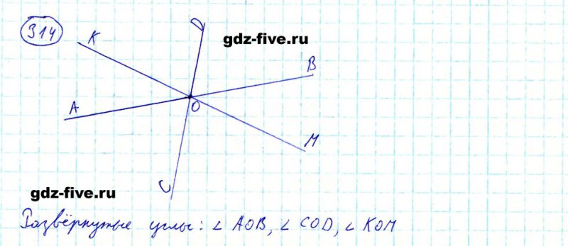 ГДЗ по математике 5 класс Мерзляк задание №314