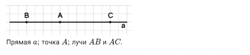 ГДЗ по математике 5 класс Никольский, Потапов задание №342