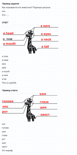 ГДЗ по английскому языку 3 класс Биболетова, Денисенко Рабочая тетрадь задание №1 lesson 19