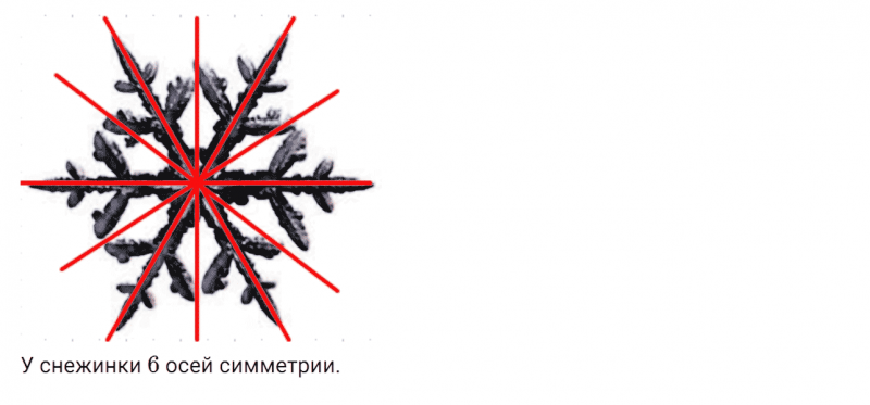 ГДЗ по математике 6 класс Дорофеев, Шарыгин, Суворова номер 583