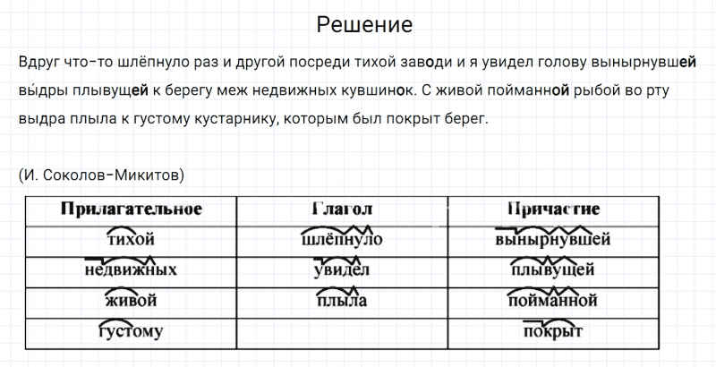 ГДЗ по русскому языку 6 класс Разумовская, Львова, Капинос упражнение 444