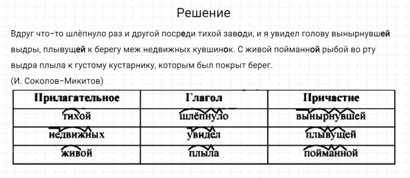 ГДЗ по русскому языку 7 класс Разумовская, Львова, Капинос упражнение 241