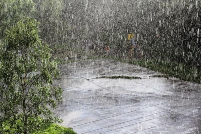 Абиотические факторы среды обитания &ndash; определение и примеры кратко (11 класс, биология)