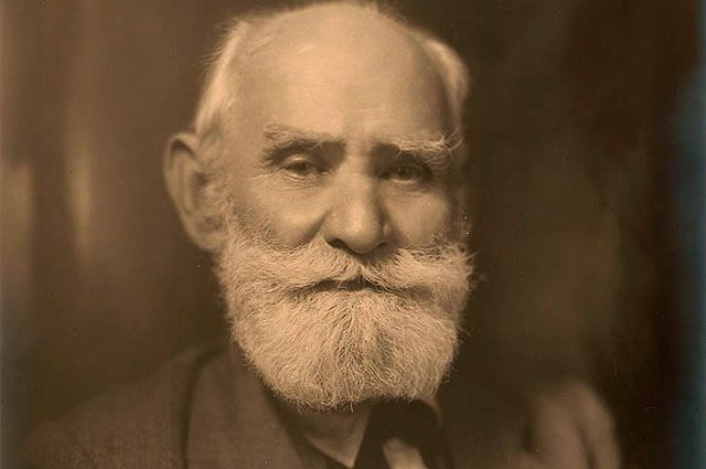 Анализаторы &ndash; из каких частей состоят и основные функции кратко (8 класс, биология)