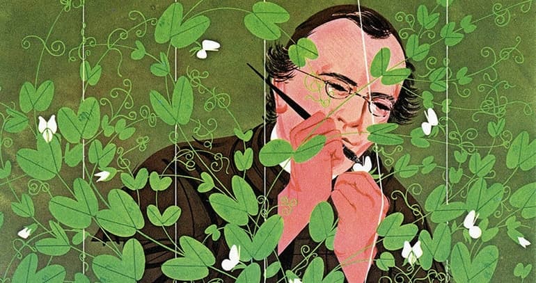 Анализирующее скрещивание &mdash; определение, цель и значение процесса в биологии