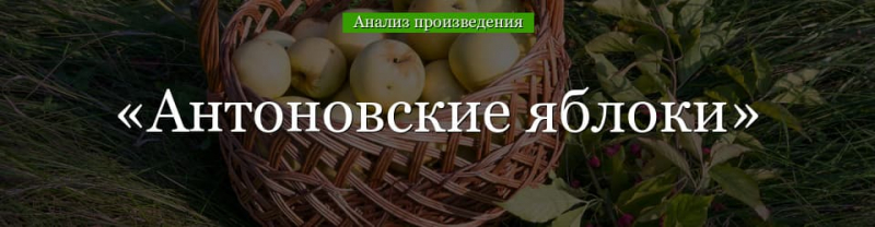 «Антоновские яблоки» анализ произведения Бунина – проблематика, особенности, план, смысл названия рассказа