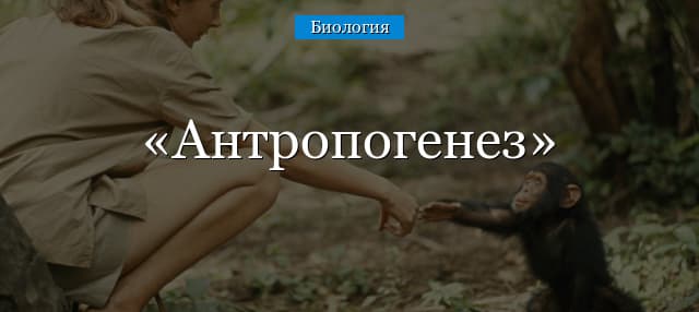 Антропогенез – движущие силы и научные теории в таблице (9 класс, биология)
