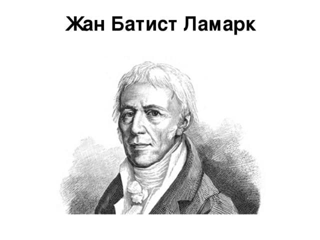 Антропогенез – движущие силы и научные теории в таблице (9 класс, биология)