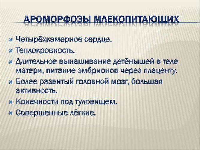 Ароморфоз &ndash; что такое в биологии, определение и примеры кратко (9 класс)