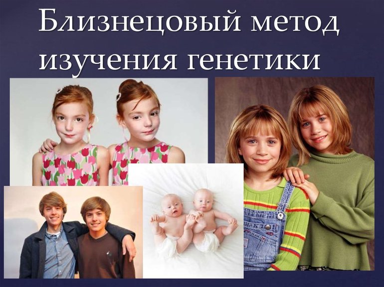 Близнецовый метод исследования — характеристика, значение и применение