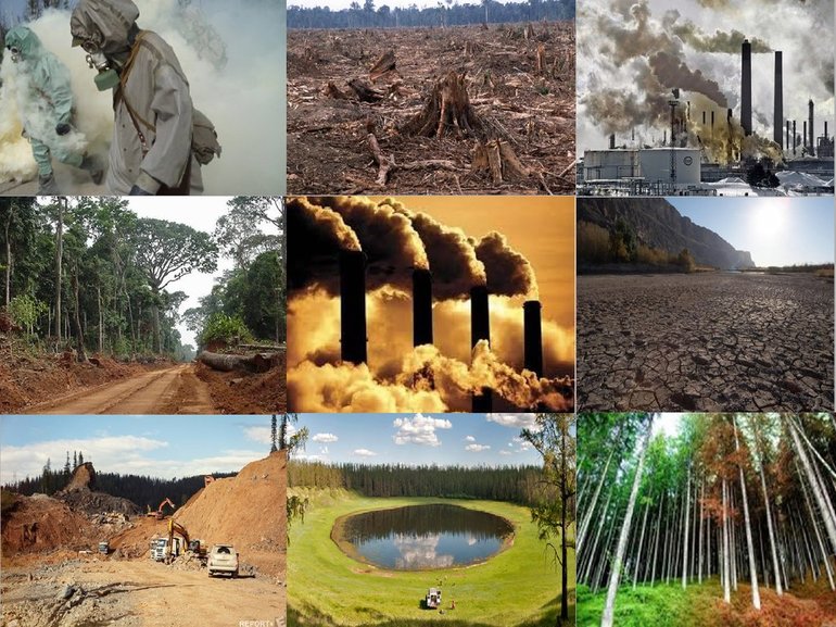 Человек и биосфера — примеры влияния и взаимодействия