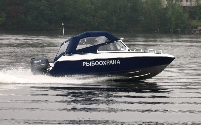 Чем занимается ихтиолог? &ndash; кто такой и что изучает профессия ихтиолог кратко&nbsp;