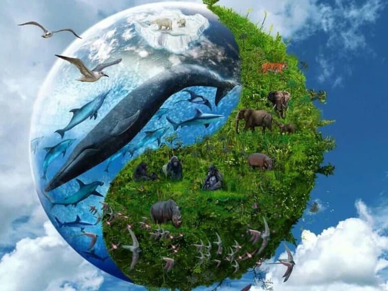 Что такое биологические ресурсы