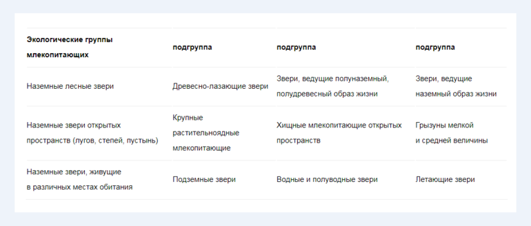 Экологические группы млекопитающих — таблица с характеристикой представителей