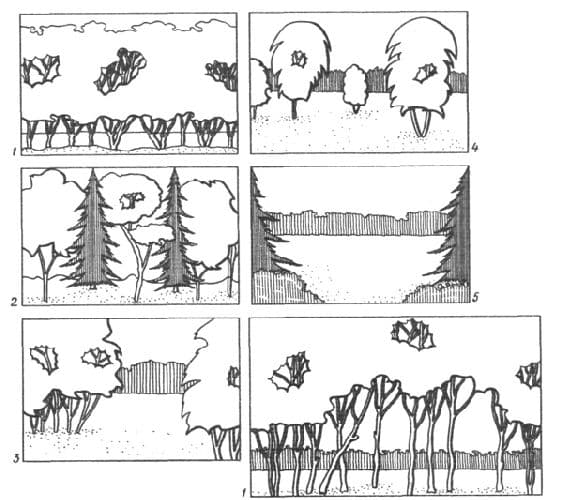 Экологические группы млекопитающих в таблице
