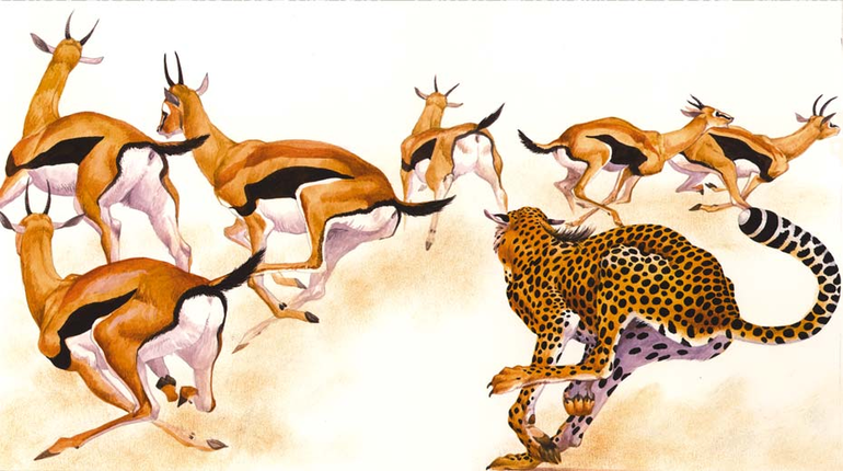 Естественный отбор &mdash; основные формы, примеры, результаты