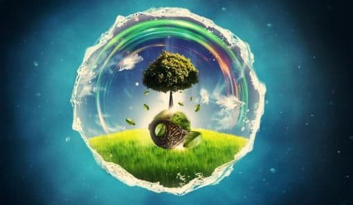 Эволюция биосферы – какова роль живого вещества, физико-химический и биологический виды