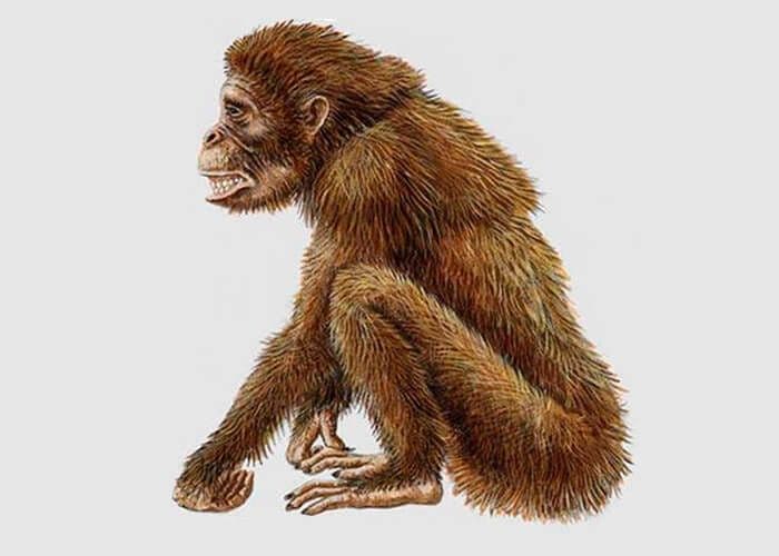 Факторы антропогенеза – биологические и социальные движущие силы