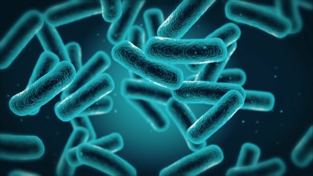 Формы бактерий и их названия &ndash; краткое описание (5 класс, биология)