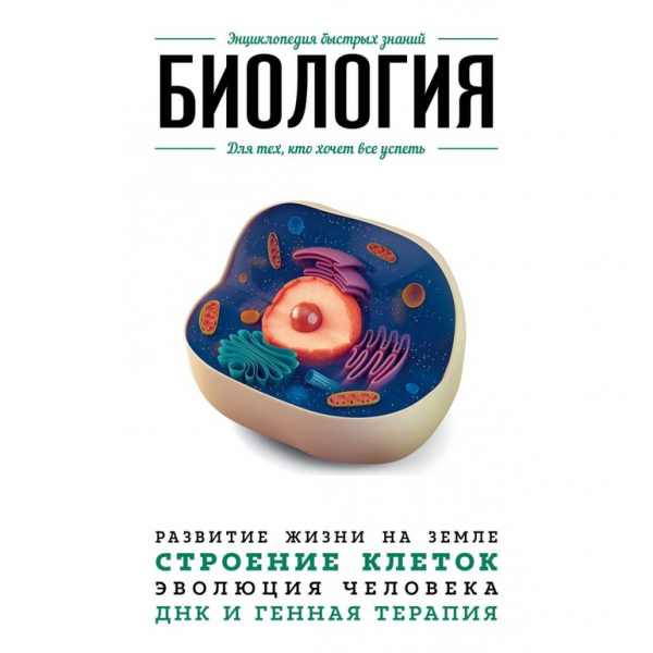 Функции клеточной мембраны — характеристика, свойства и строение