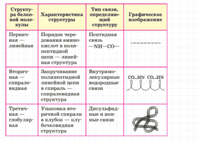 ГДЗ по химии 10 класс Габриелян задание №6 параграф 17 Дрофа