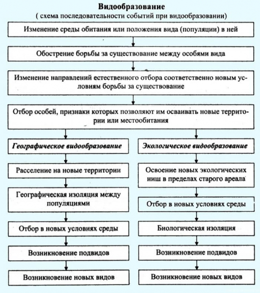 Географическое видообразование &mdash; причины формирования, основные формы и примеры