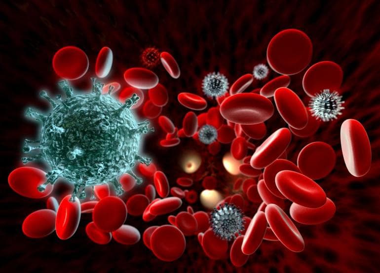 Гуморальный иммунитет &mdash; характеристика, механизм и факторы