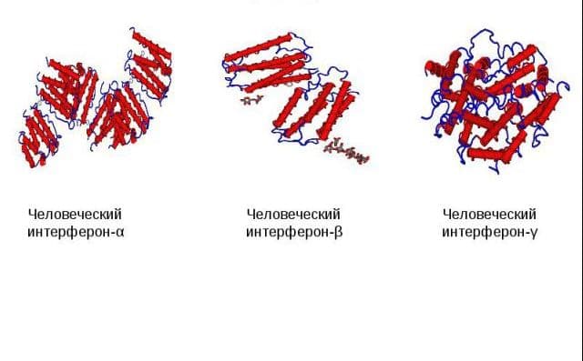 Гуморальный иммунитет как фактор врожденного