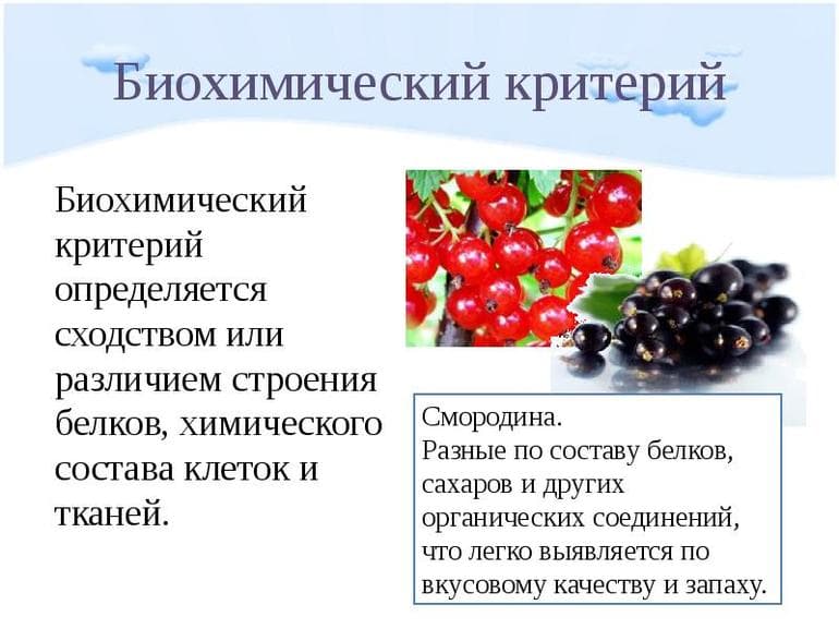 Характеристика критериев вида и примеры проявления их признаков