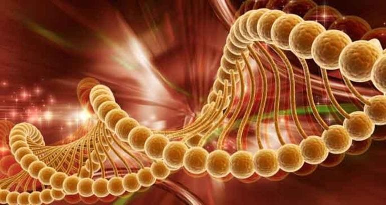 Характеристика критериев вида и примеры проявления их признаков