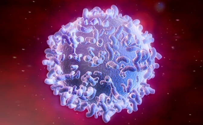 Иммунитет человека &ndash; естественный и приобретенный, активные компоненты (биология, 8 класс)