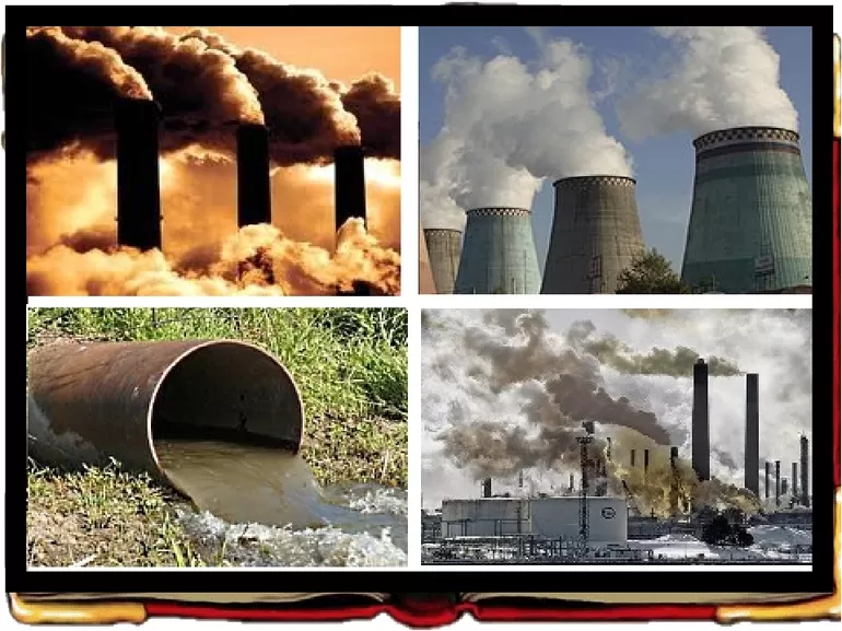 Как человек изменил природу — виды воздействия на окружающий мир