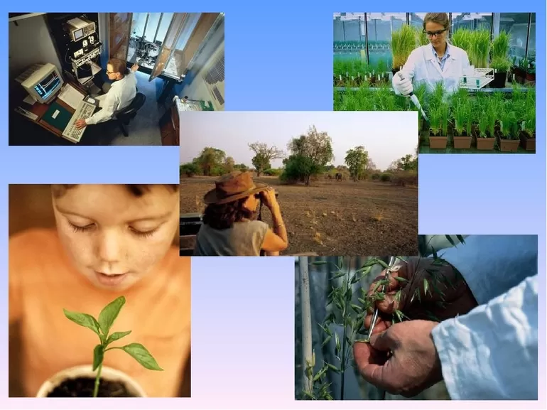 Как человек изменил природу — виды воздействия на окружающий мир