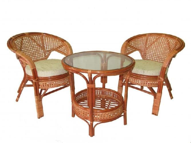 Класс Однодольные &ndash; признаки семейств, общая характеристика (биология, 6 класс)