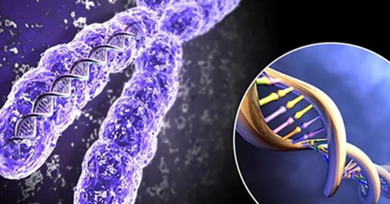 Классификация и основные свойства видов изменчивости в биологии