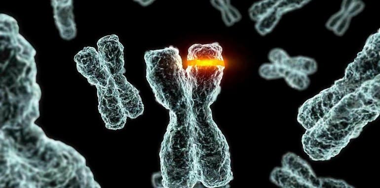 Классификация и основные свойства видов изменчивости в биологии