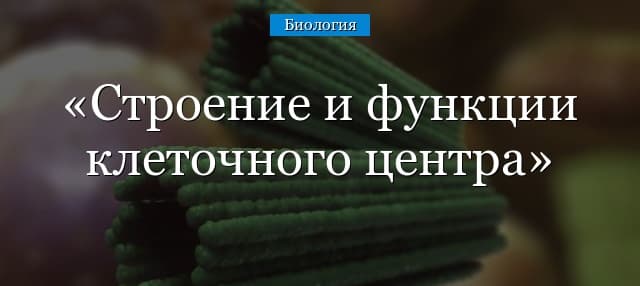 Клеточный центр – строение и функции в таблице