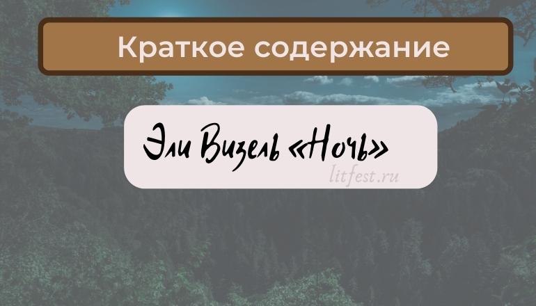 Краткое содержание «Ночь» Эли Визель