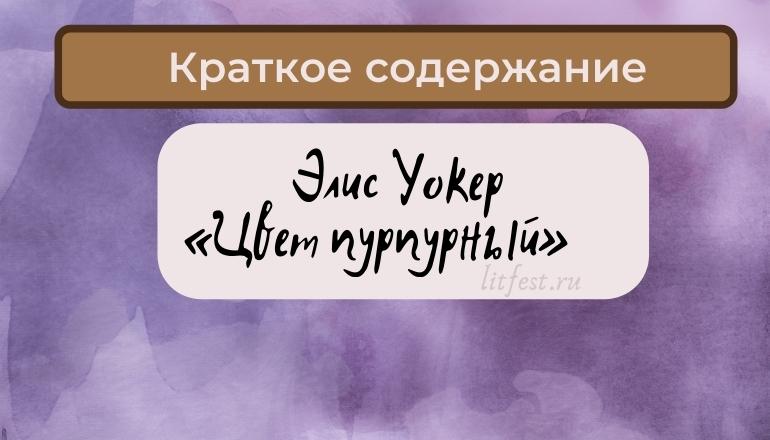 Краткое содержание романа «Цвет пурпурный» Э. Уокер