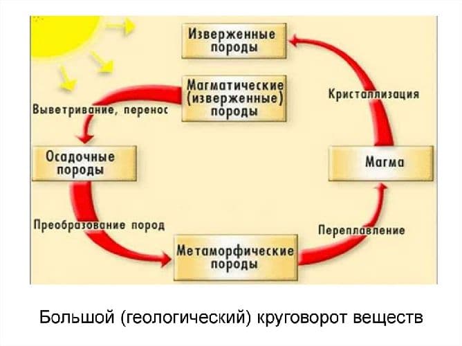 Круговорот веществ в биосфере – энергия, сущность и значение биологического круговорота