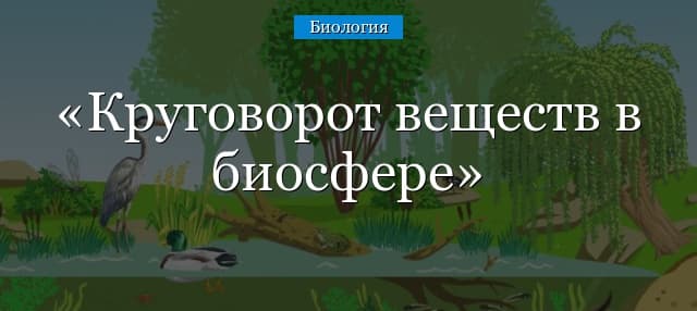 Круговорот веществ в биосфере – энергия, сущность и значение биологического круговорота