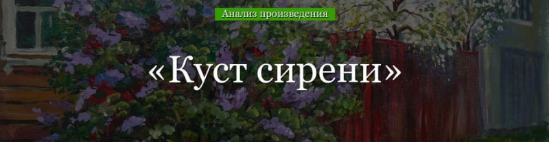 &laquo;Куст сирени&raquo; анализ произведения Куприна &ndash; тема, жанр, смысл названия, план рассказа