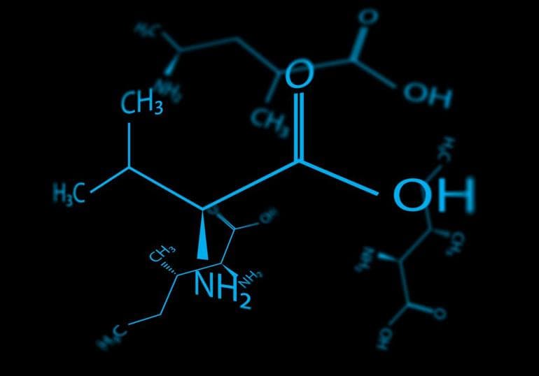 Липиды &mdash; строение, свойства и функции молекул