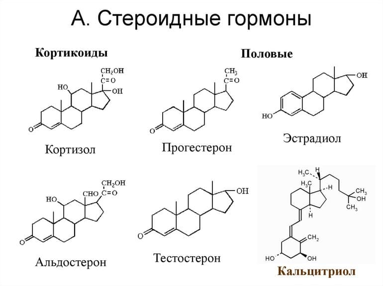 Липиды &mdash; строение, свойства и функции молекул
