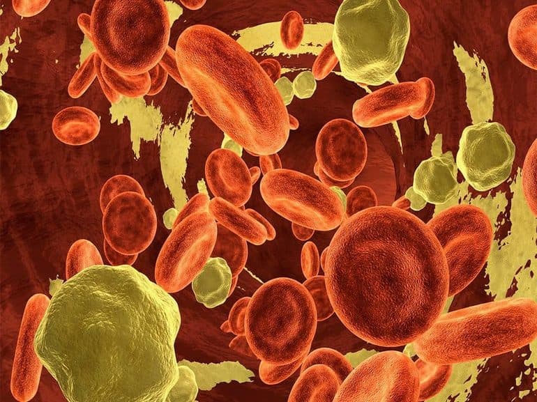 Липиды &mdash; строение, свойства и функции молекул