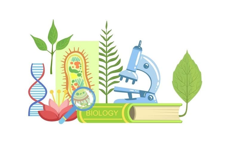 Методы биологических исследований &mdash; определение, задачи и примеры