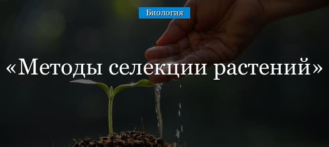 Методы селекции растений – основные классические