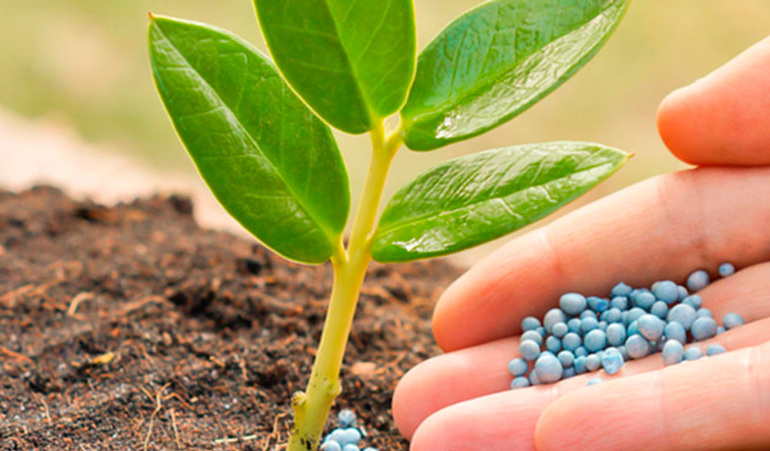 Минеральное питание растений — роль удобрений и химических элементов