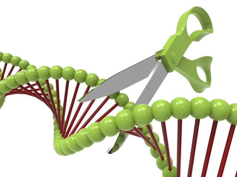 Моногибридное скрещивание &mdash; основные понятия, закономерности, задачи