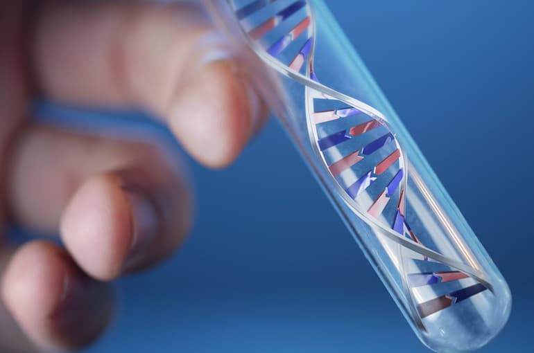 Мутации в биологии &mdash; причины появления, классификация и роль в эволюции